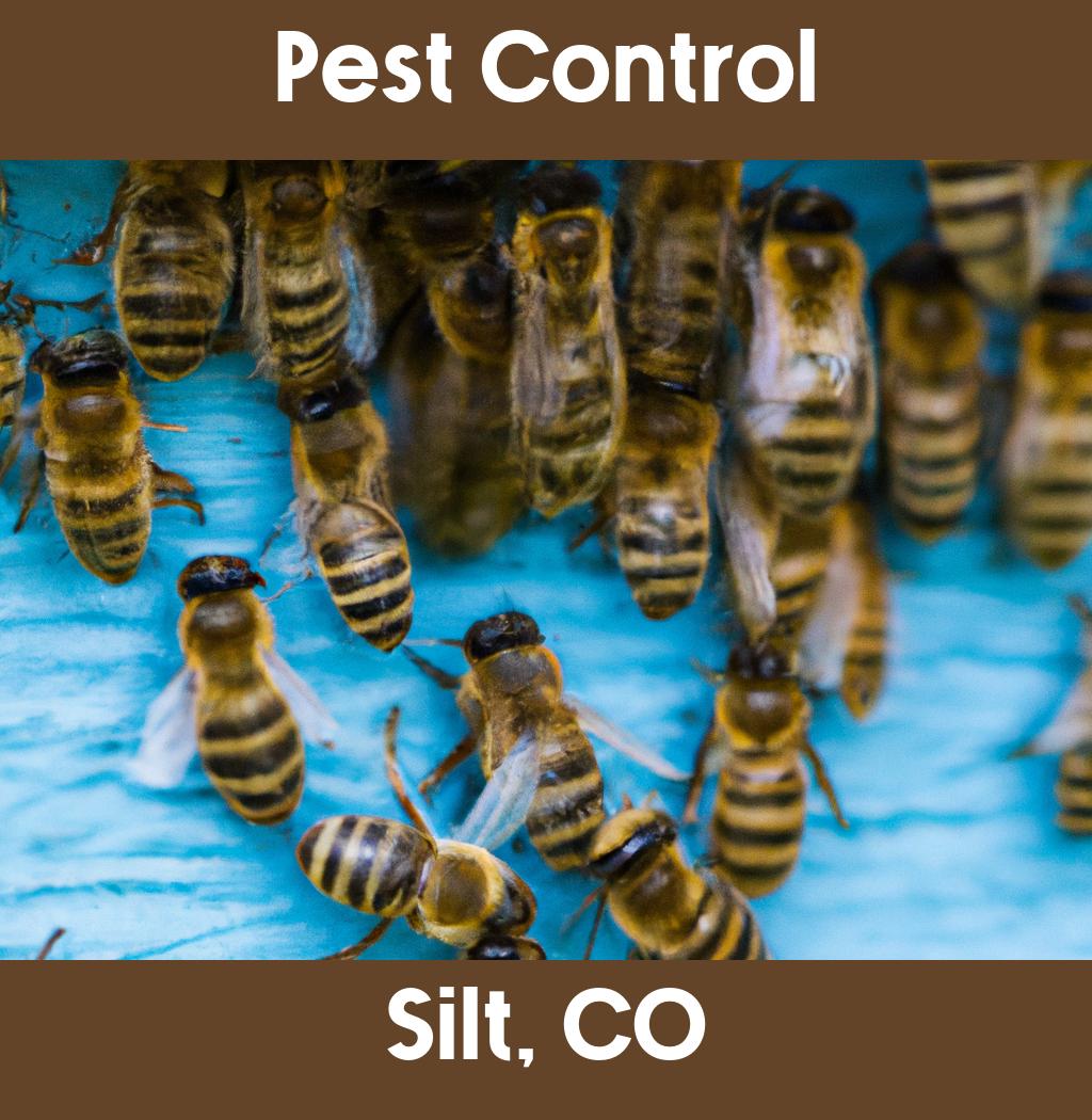pest control in Silt Colorado