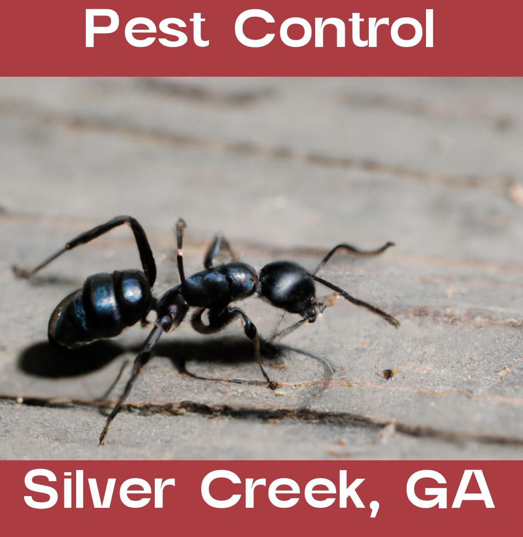 pest control in Silver Creek Georgia