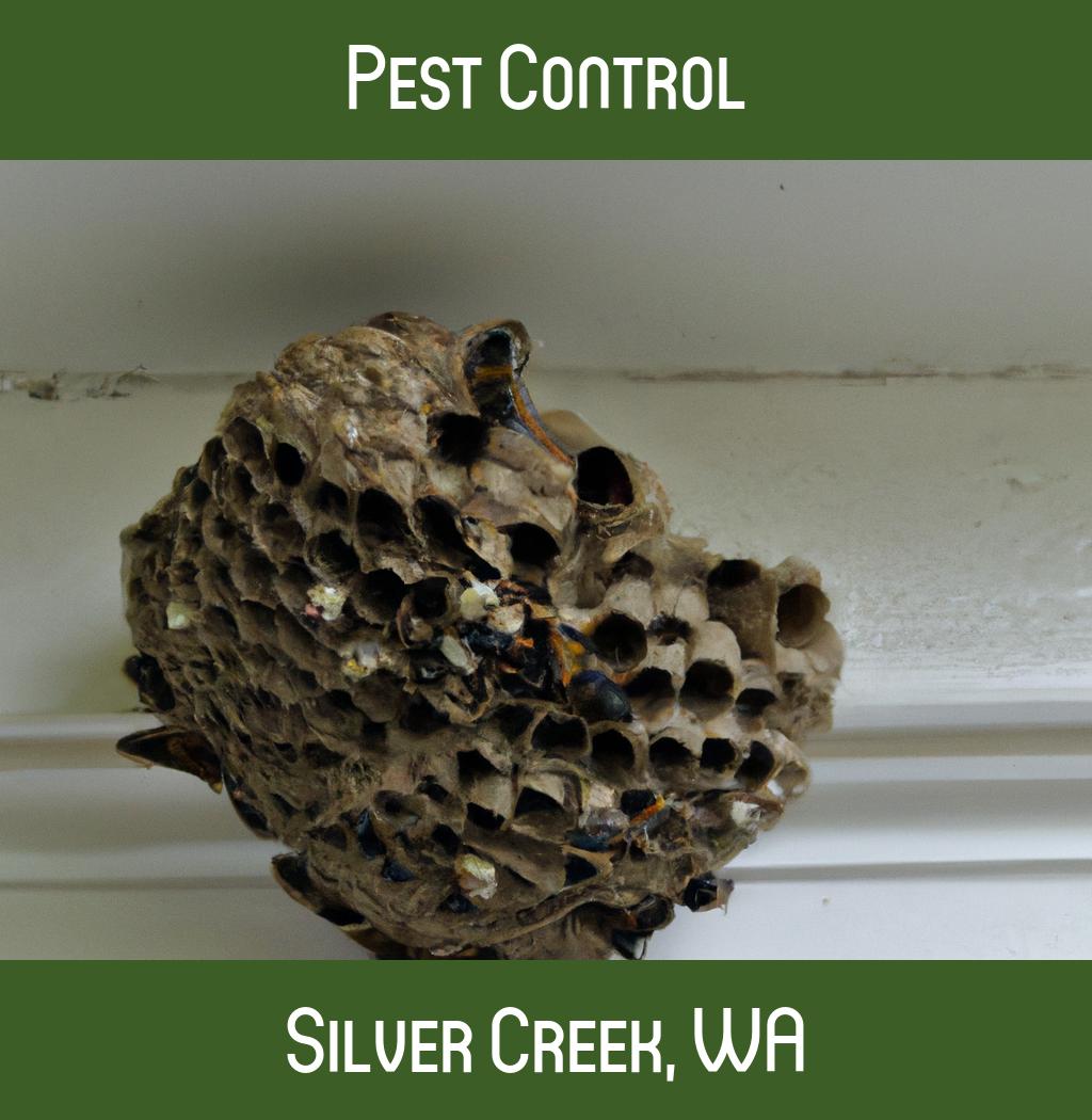 pest control in Silver Creek Washington