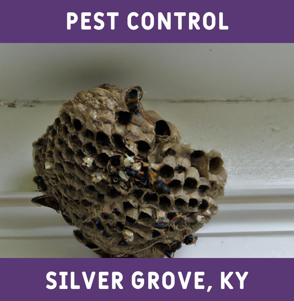 pest control in Silver Grove Kentucky