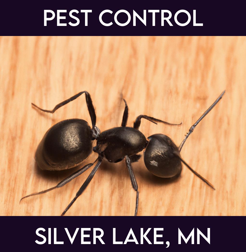 pest control in Silver Lake Minnesota