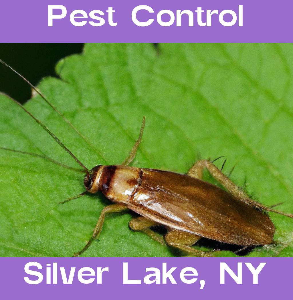 pest control in Silver Lake New York