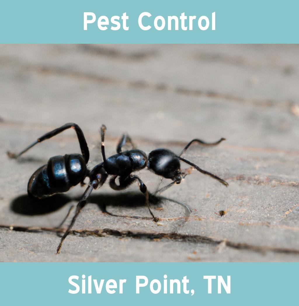 pest control in Silver Point Tennessee