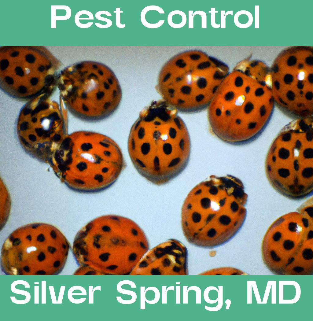 pest control in Silver Spring Maryland