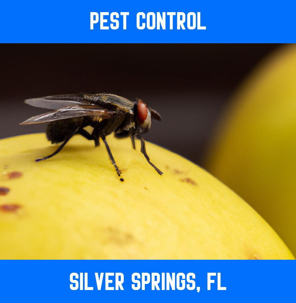 pest control in Silver Springs Florida