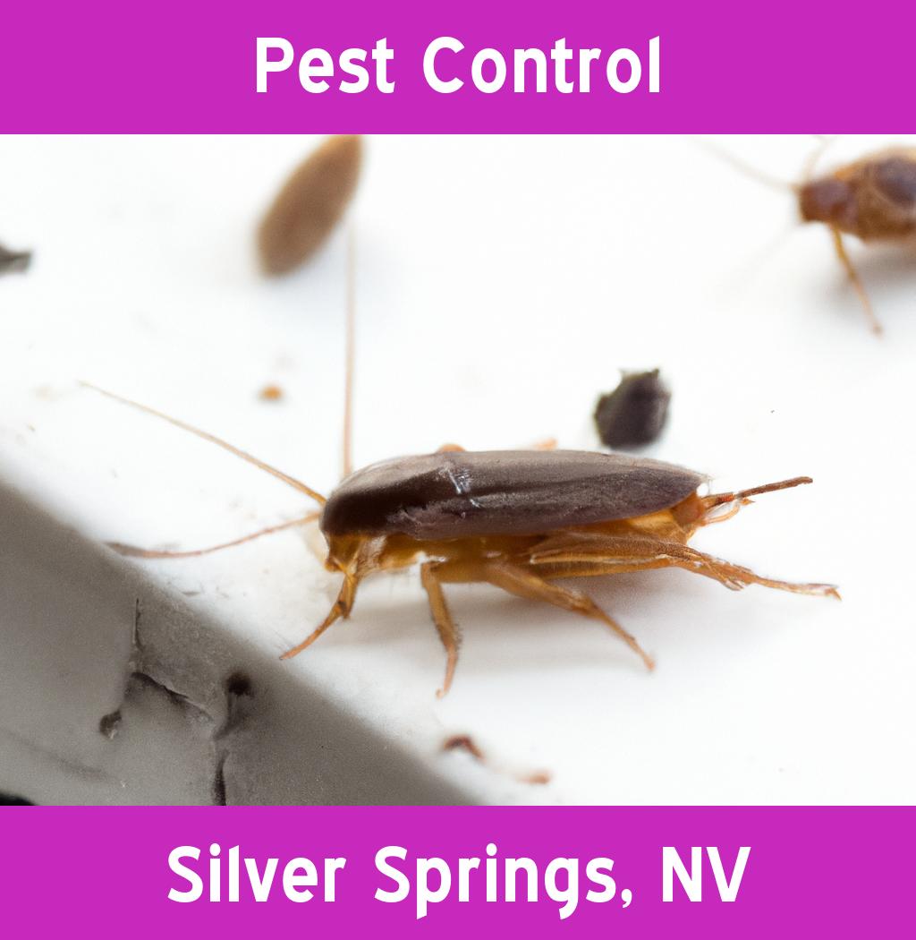 pest control in Silver Springs Nevada