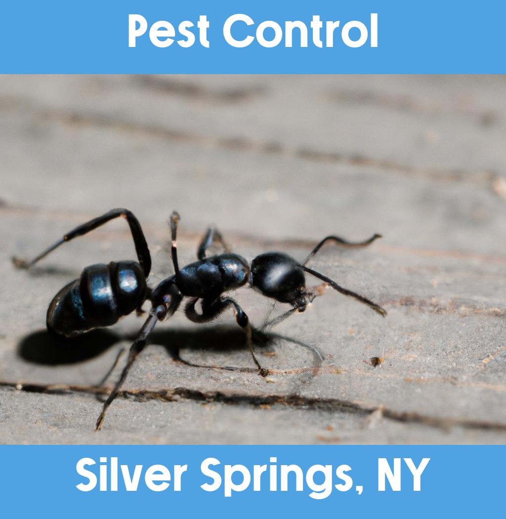 pest control in Silver Springs New York