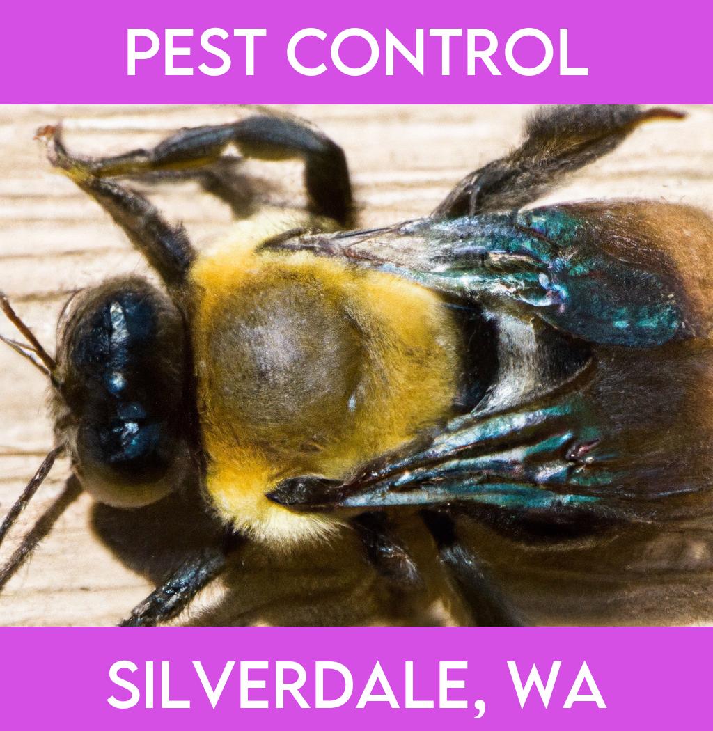 pest control in Silverdale Washington