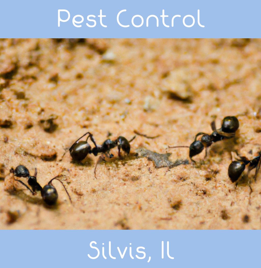 pest control in Silvis Illinois