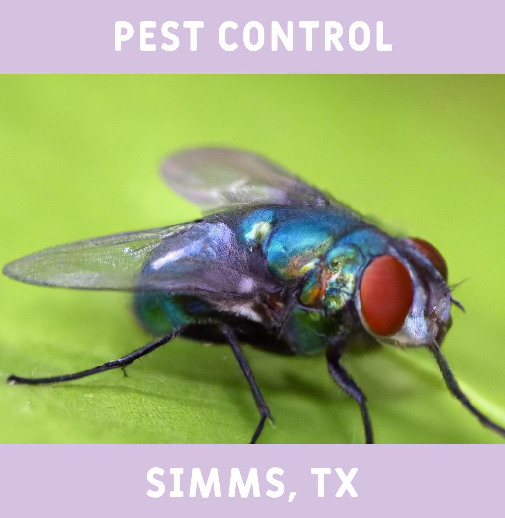 pest control in Simms Texas