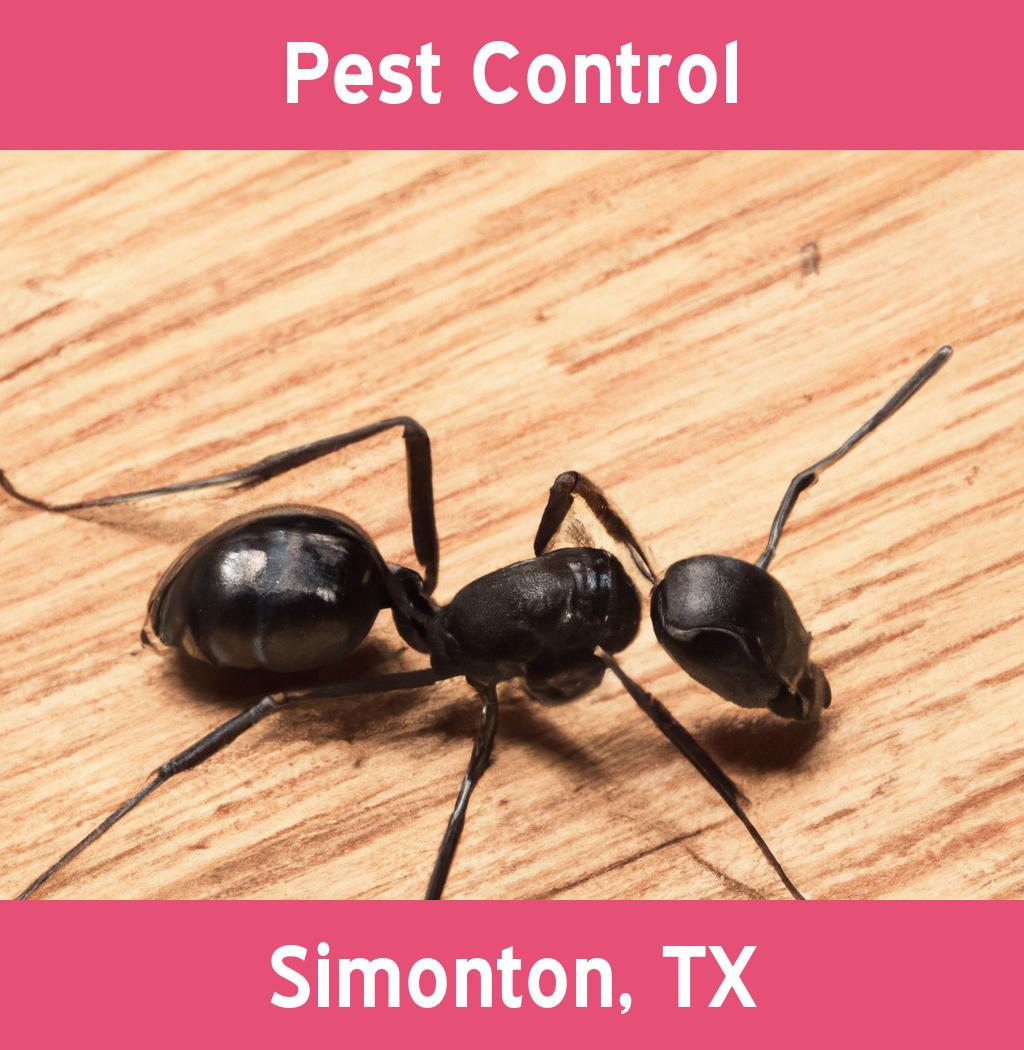 pest control in Simonton Texas