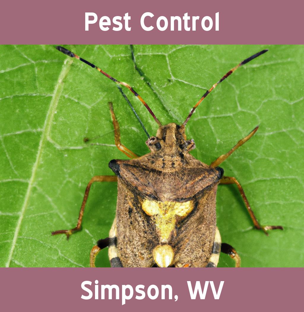 pest control in Simpson West Virginia