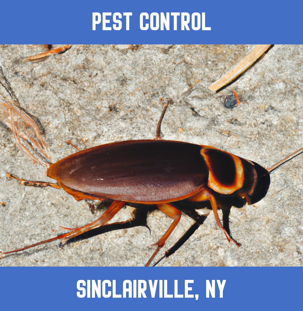 pest control in Sinclairville New York