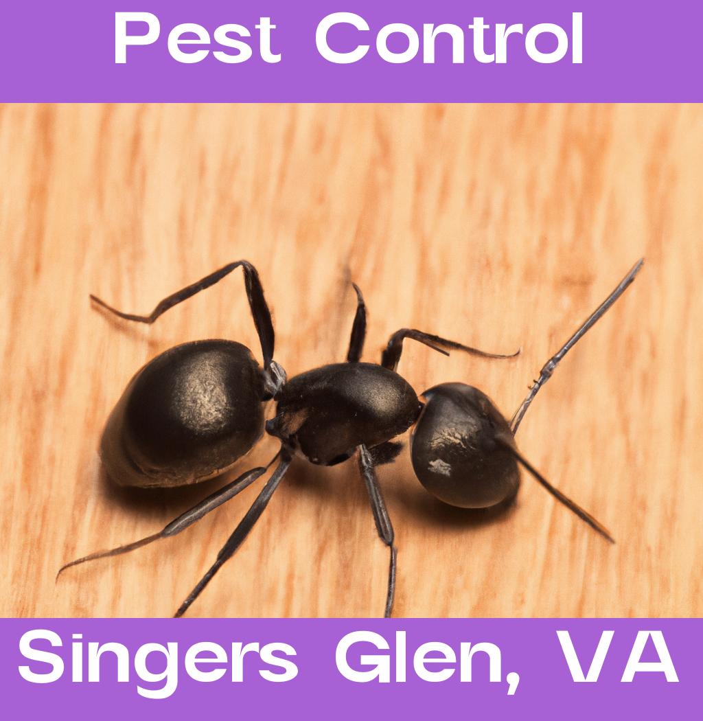 pest control in Singers Glen Virginia