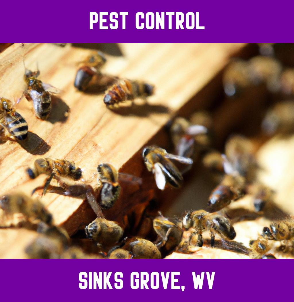 pest control in Sinks Grove West Virginia