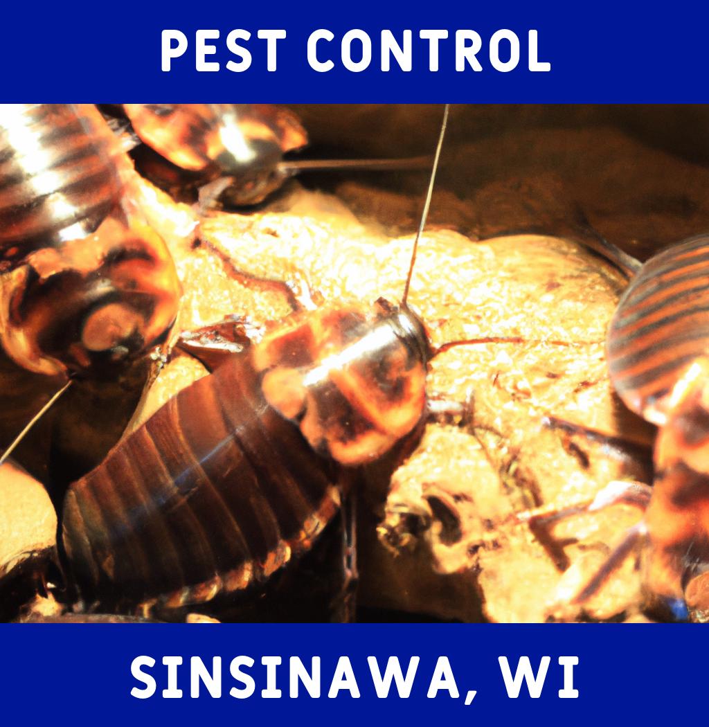 pest control in Sinsinawa Wisconsin