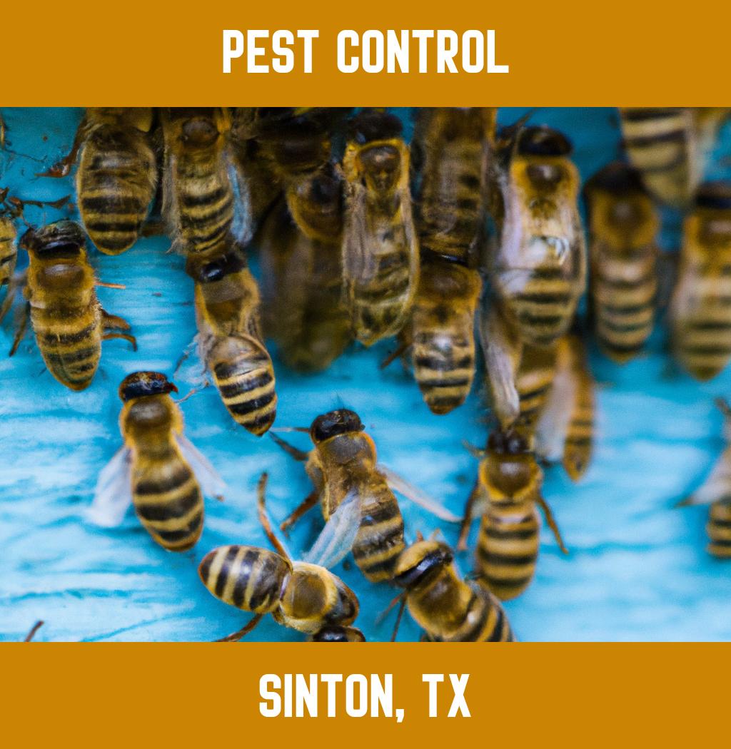 pest control in Sinton Texas