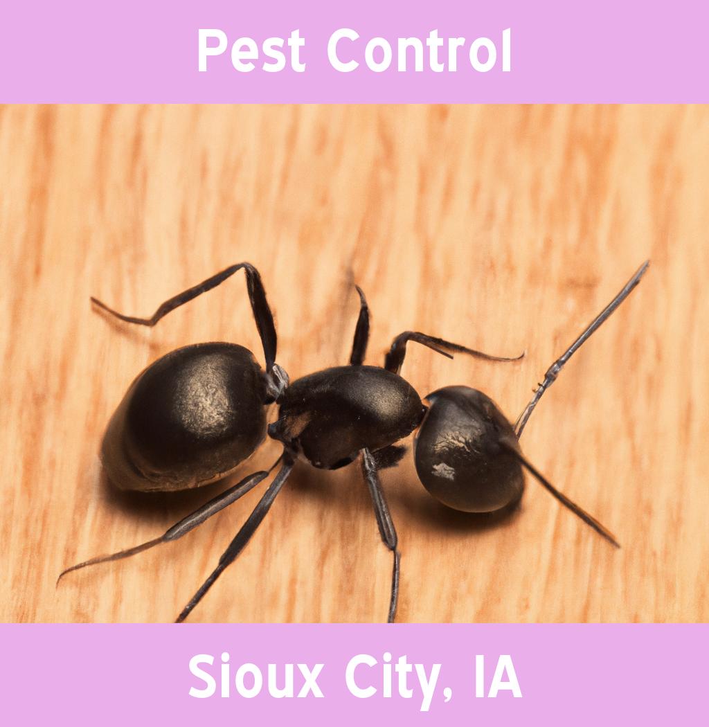 pest control in Sioux City Iowa