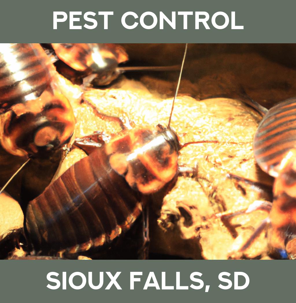 pest control in Sioux Falls South Dakota