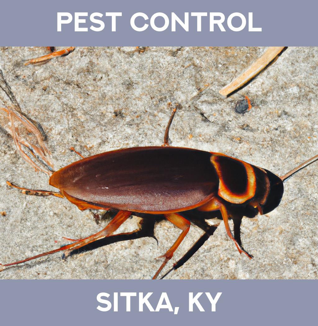 pest control in Sitka Kentucky