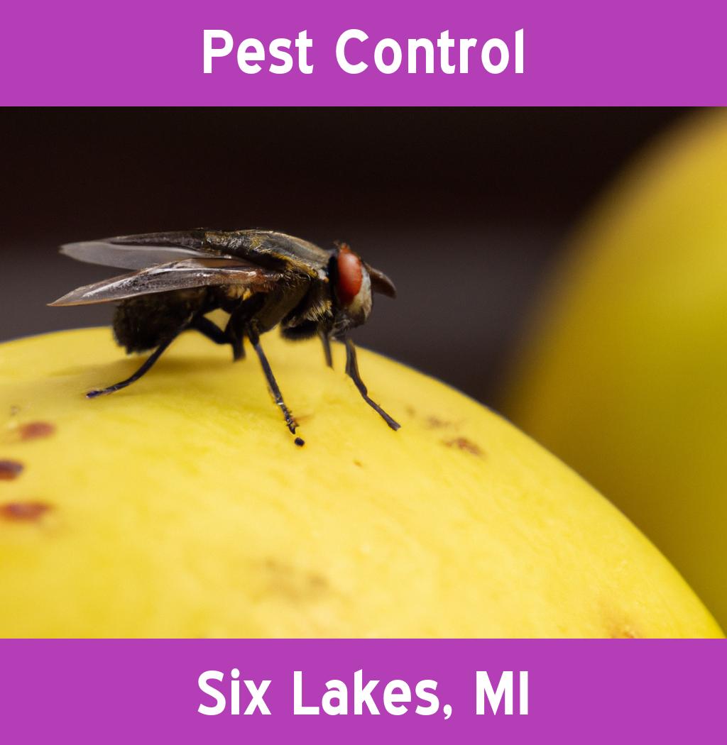 pest control in Six Lakes Michigan