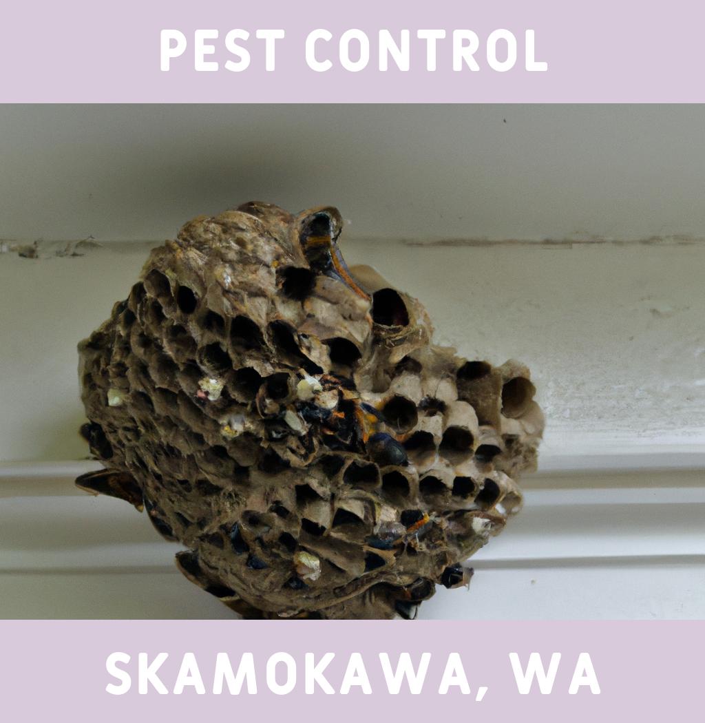 pest control in Skamokawa Washington