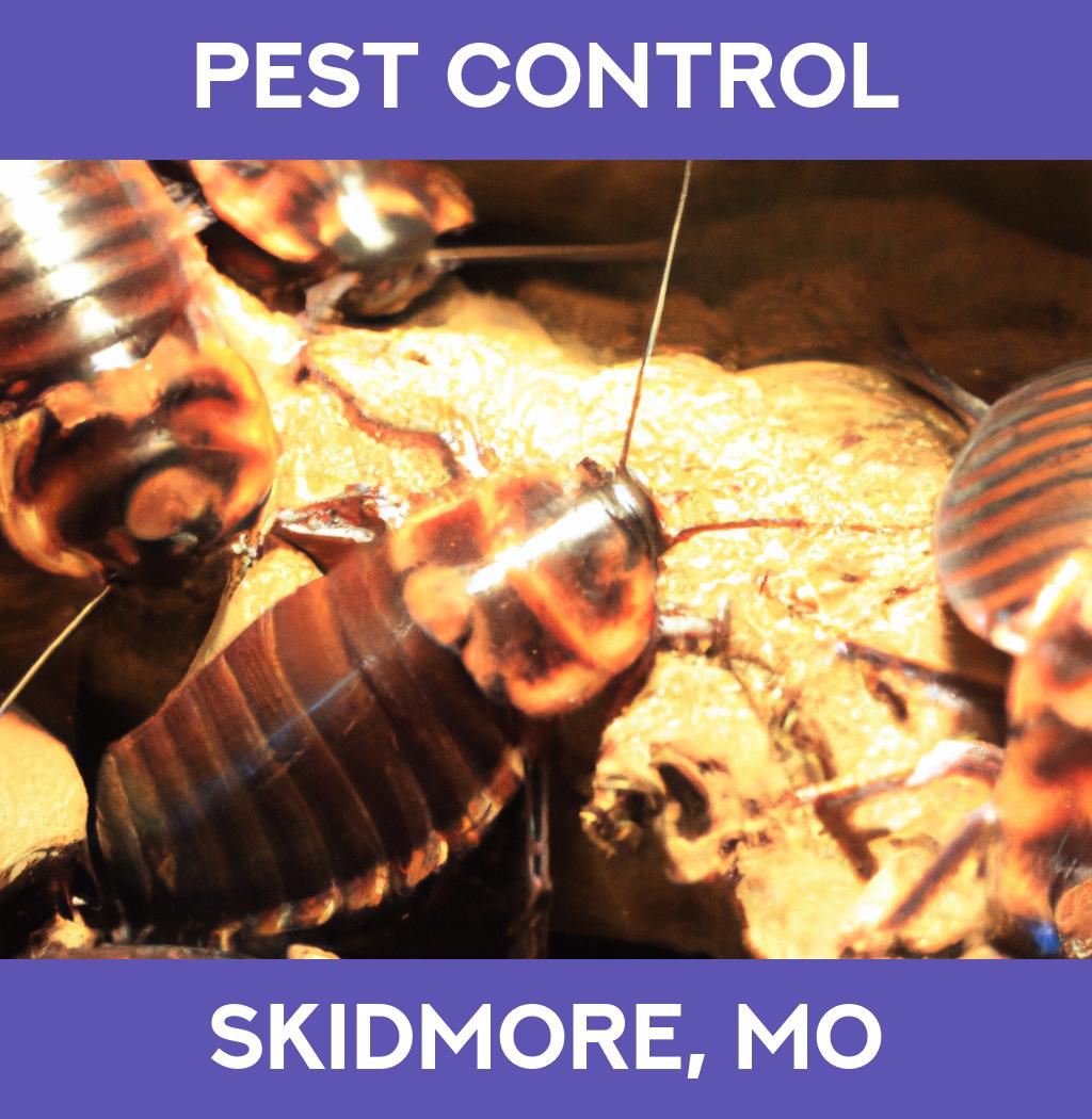 pest control in Skidmore Missouri