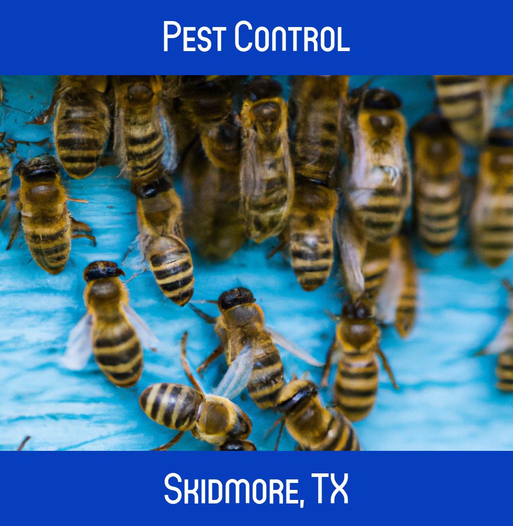 pest control in Skidmore Texas