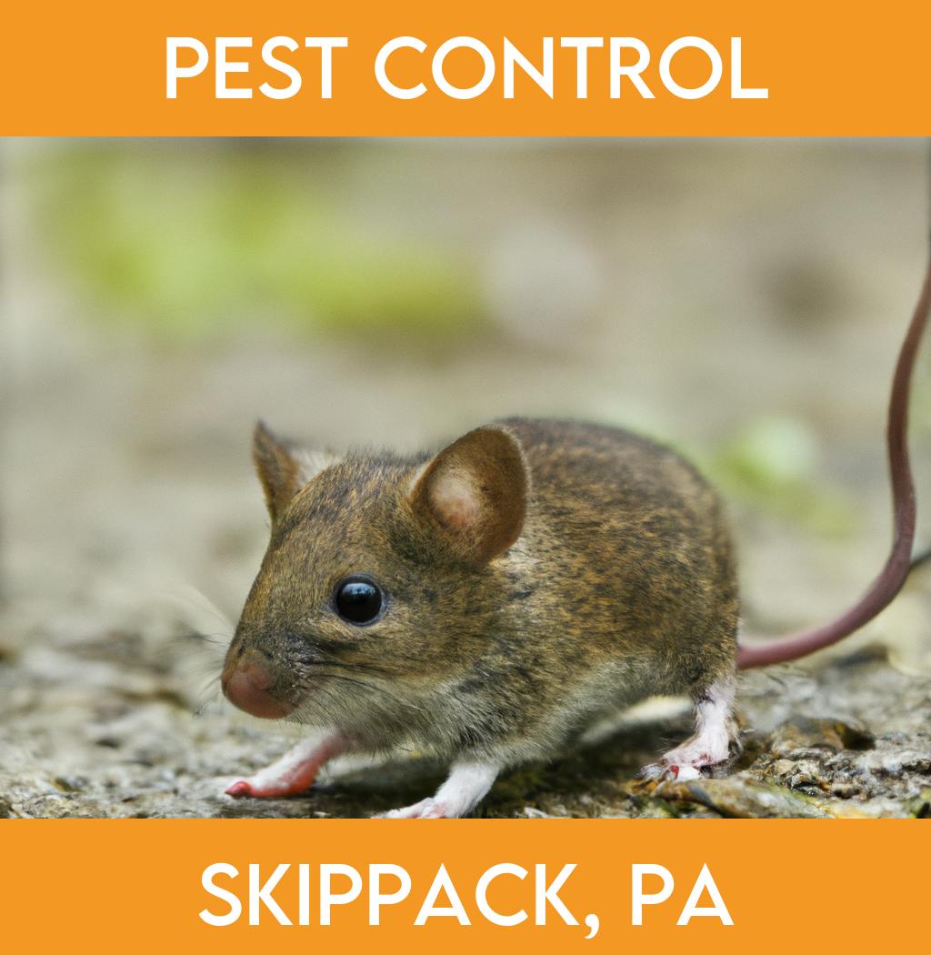 pest control in Skippack Pennsylvania