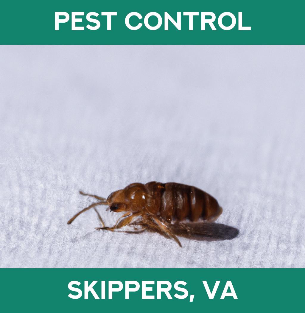 pest control in Skippers Virginia