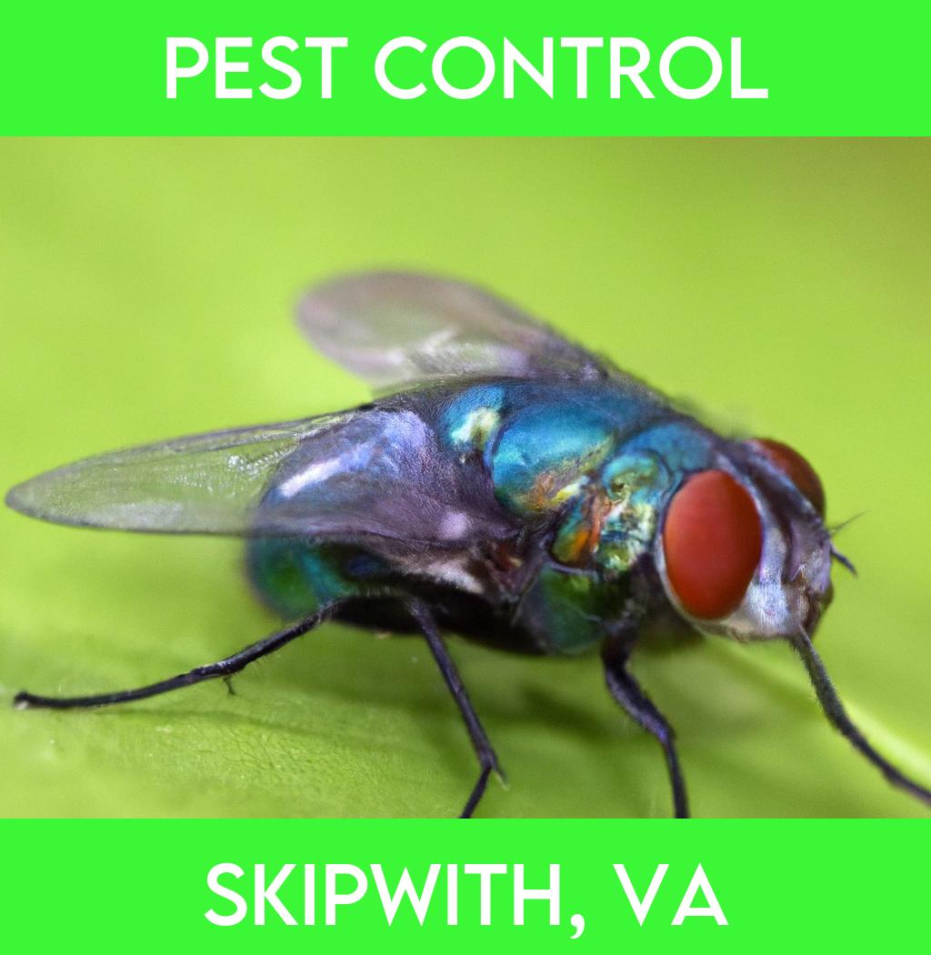 pest control in Skipwith Virginia