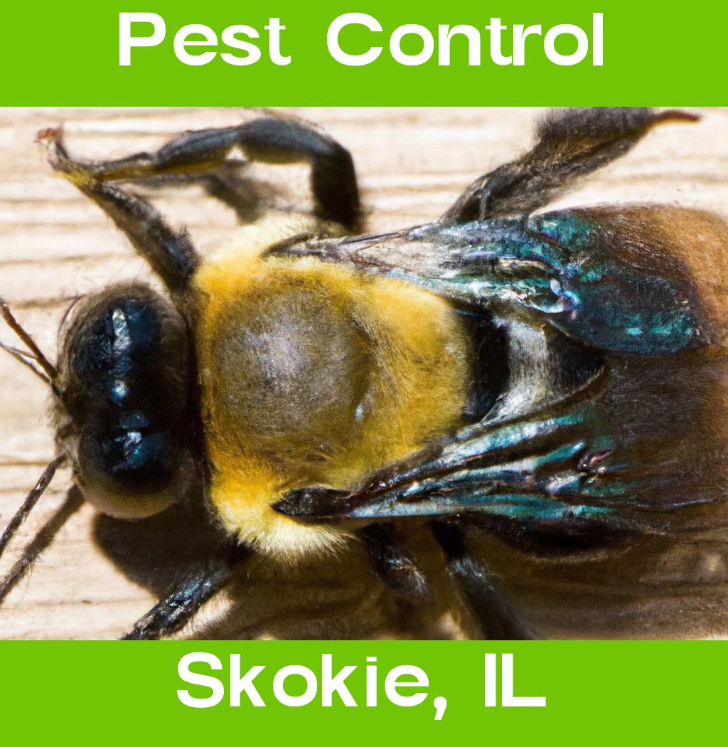 pest control in Skokie Illinois