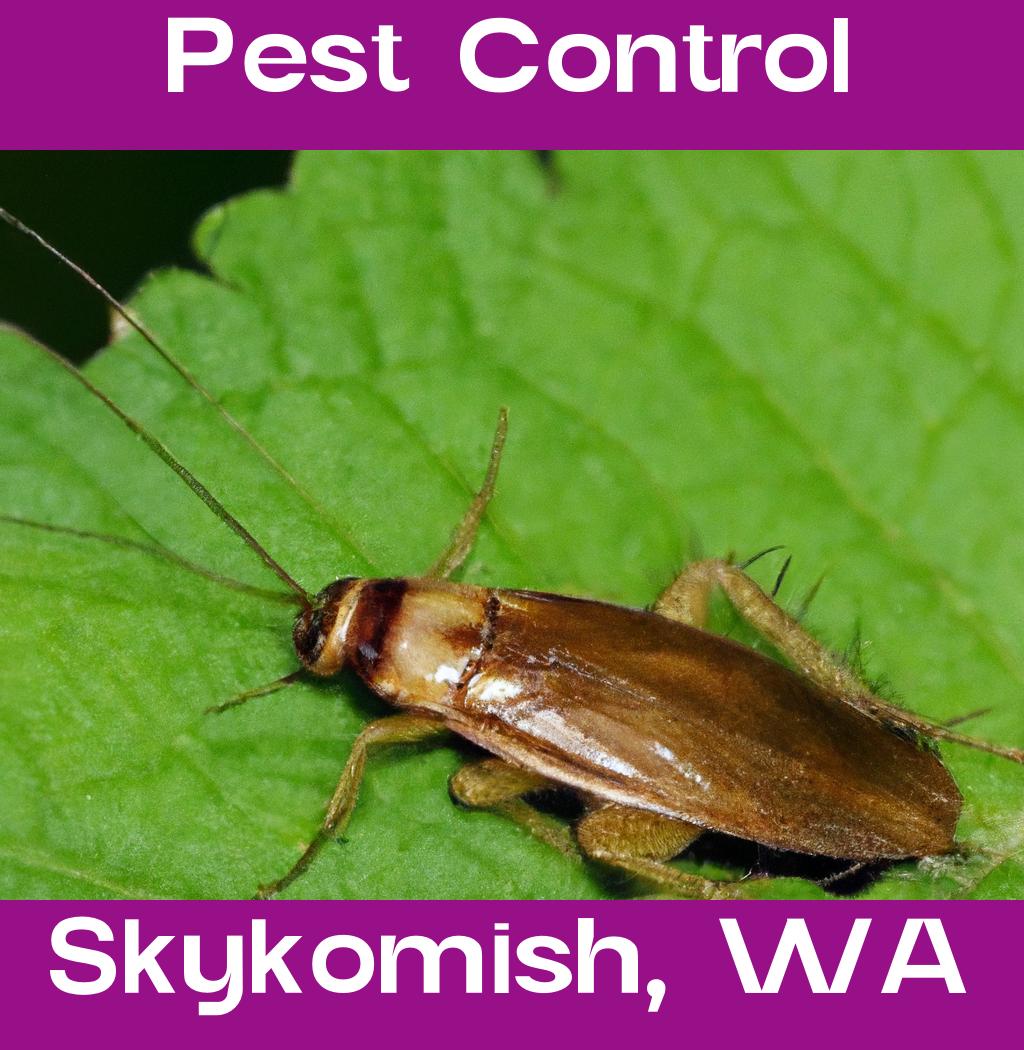 pest control in Skykomish Washington