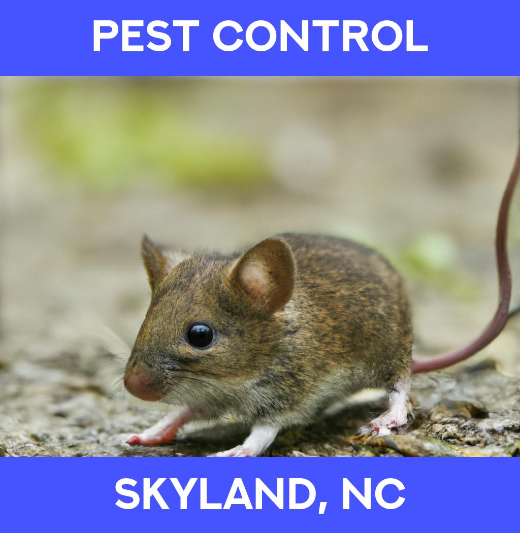 pest control in Skyland North Carolina