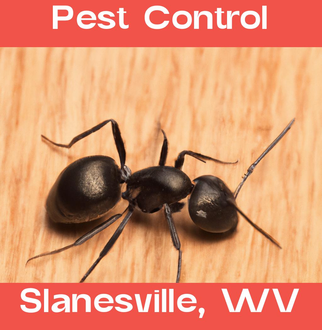 pest control in Slanesville West Virginia