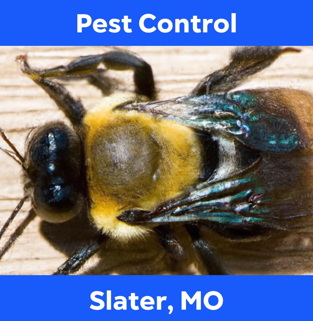 pest control in Slater Missouri