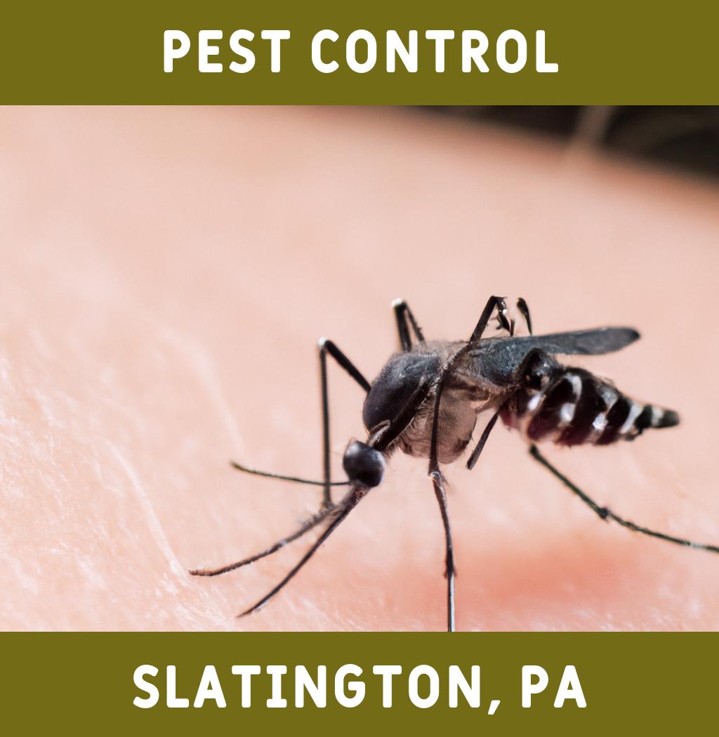 pest control in Slatington Pennsylvania