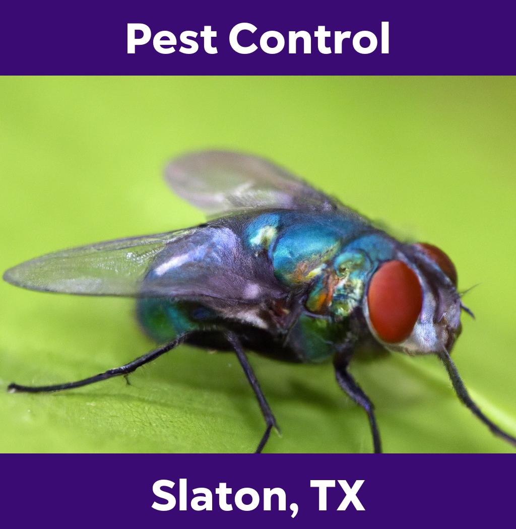 pest control in Slaton Texas