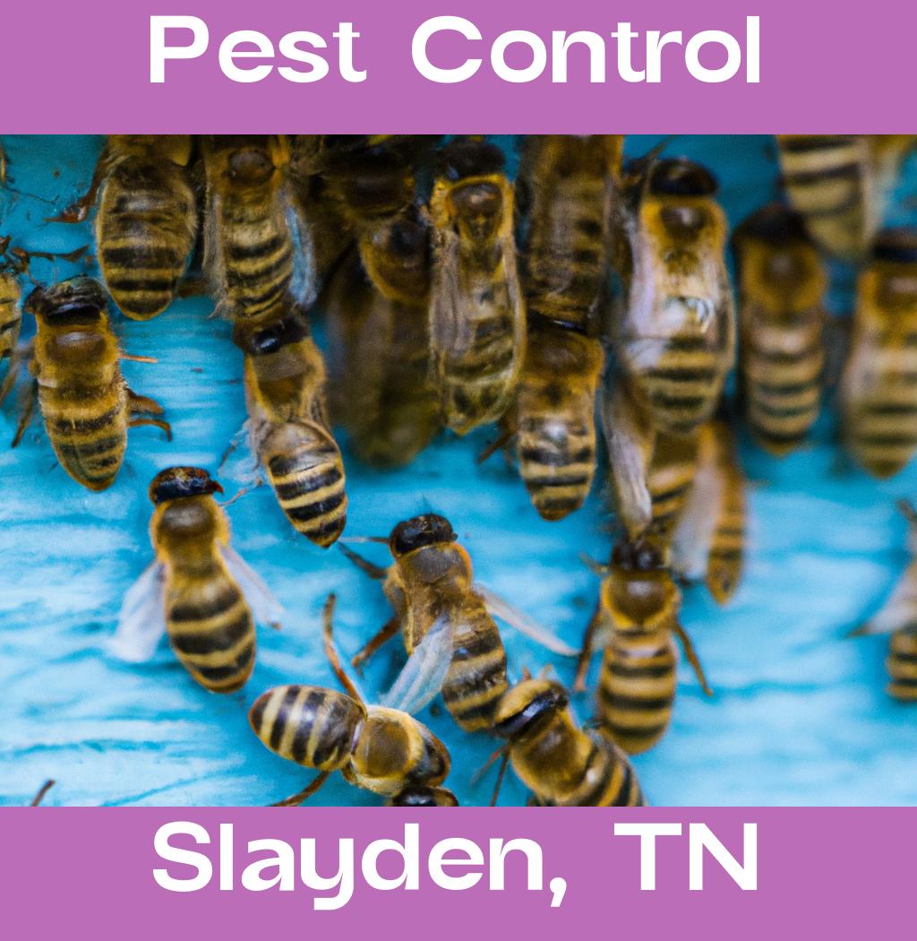 pest control in Slayden Tennessee