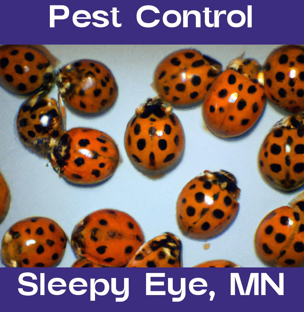 pest control in Sleepy Eye Minnesota