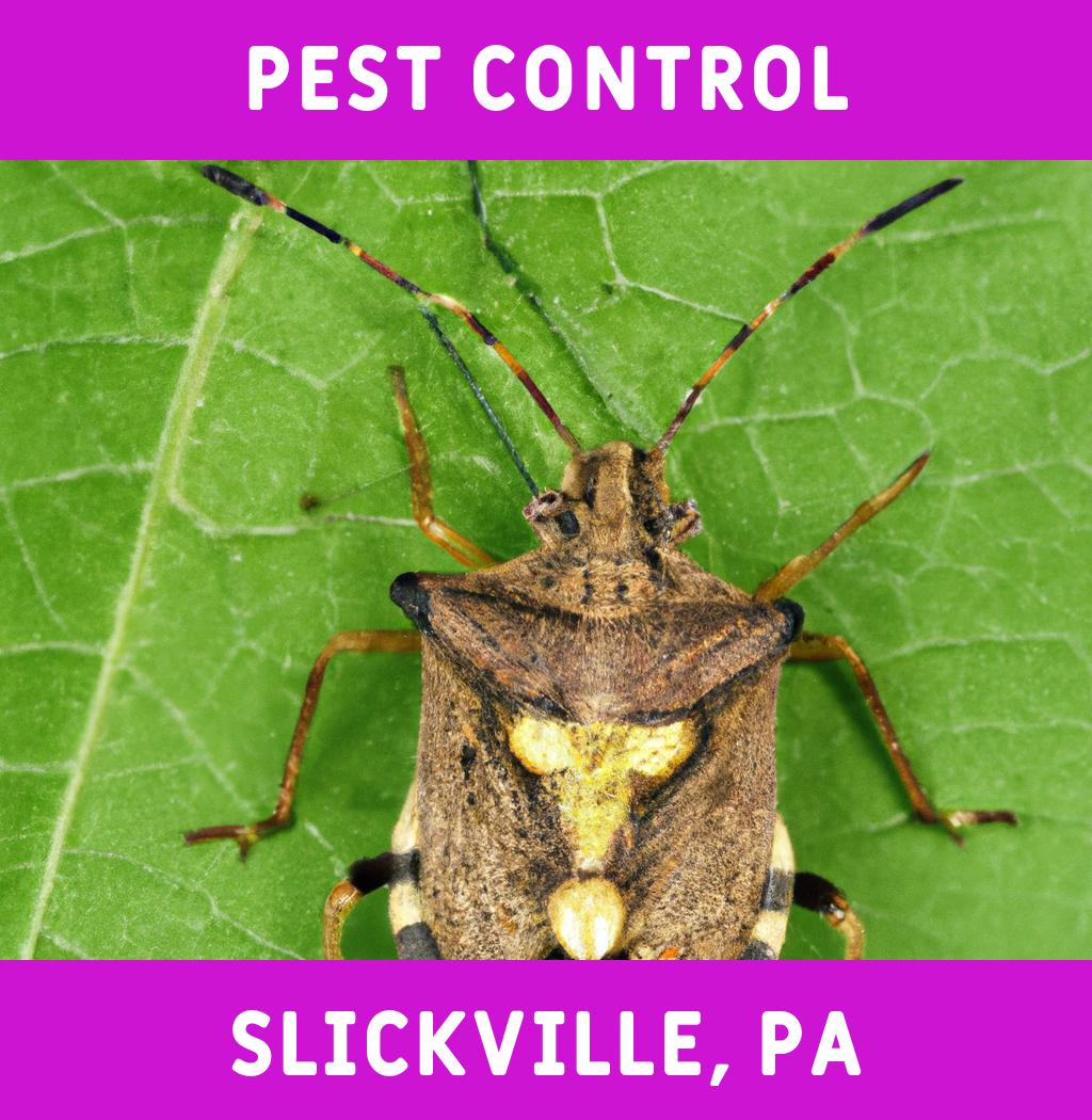 pest control in Slickville Pennsylvania