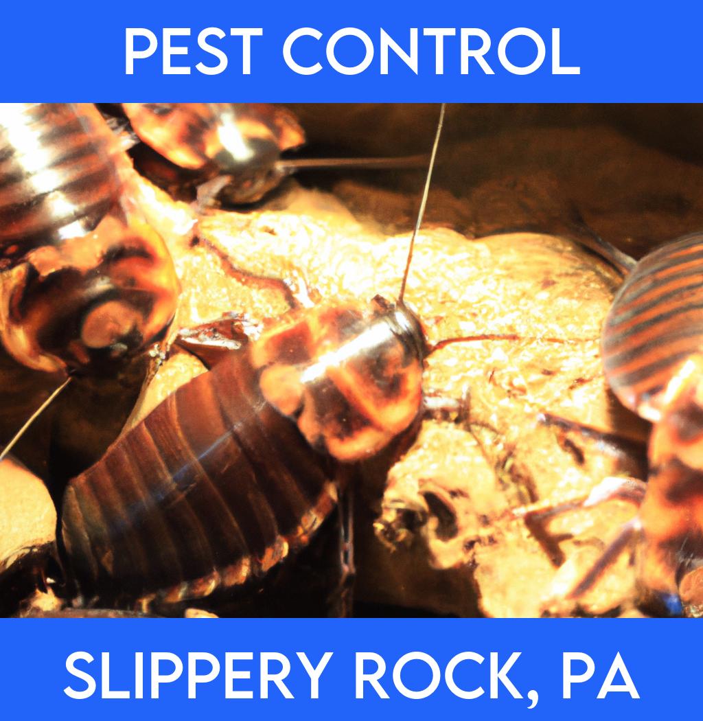 pest control in Slippery Rock Pennsylvania