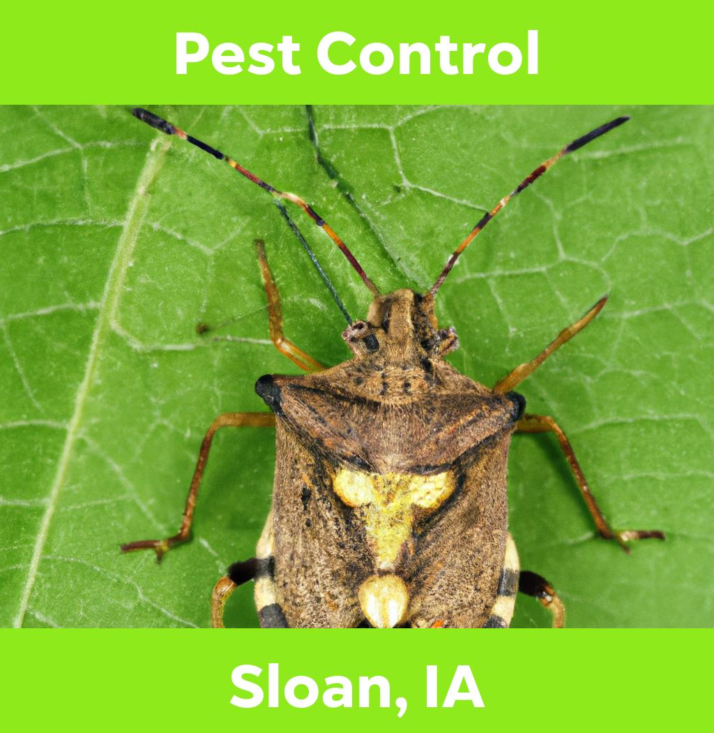pest control in Sloan Iowa