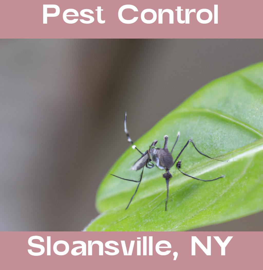 pest control in Sloansville New York