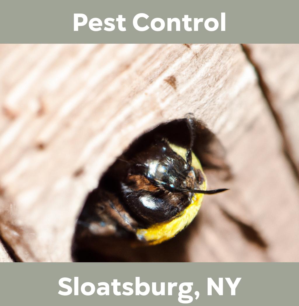 pest control in Sloatsburg New York