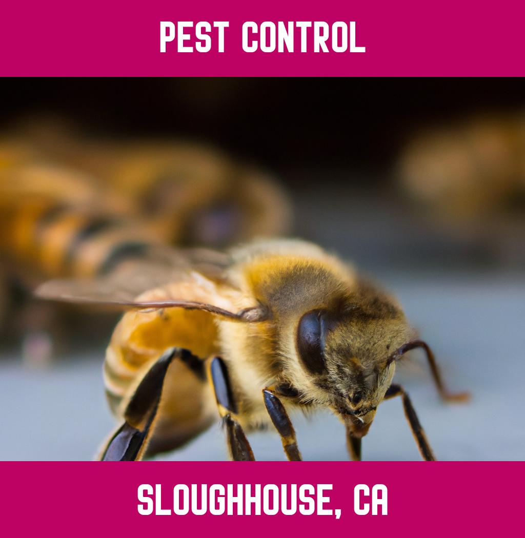 pest control in Sloughhouse California