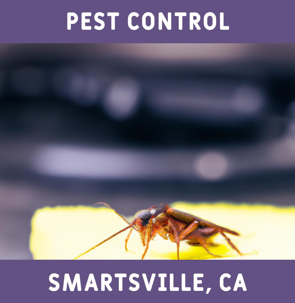 pest control in Smartsville California