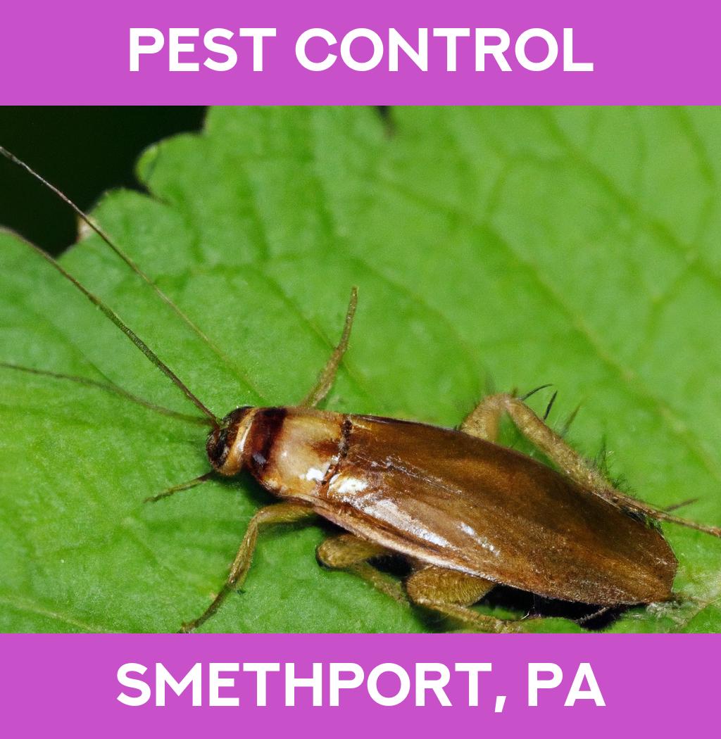 pest control in Smethport Pennsylvania
