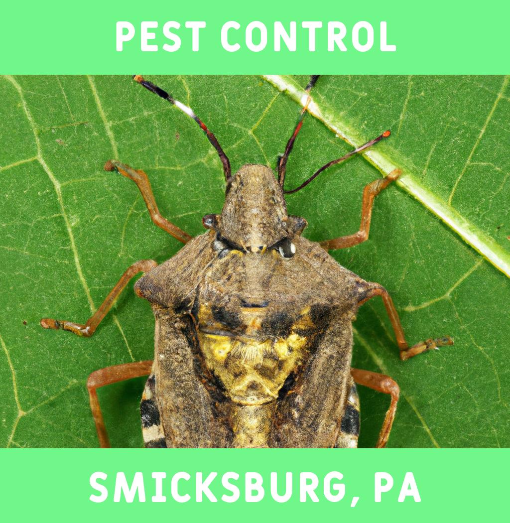 pest control in Smicksburg Pennsylvania