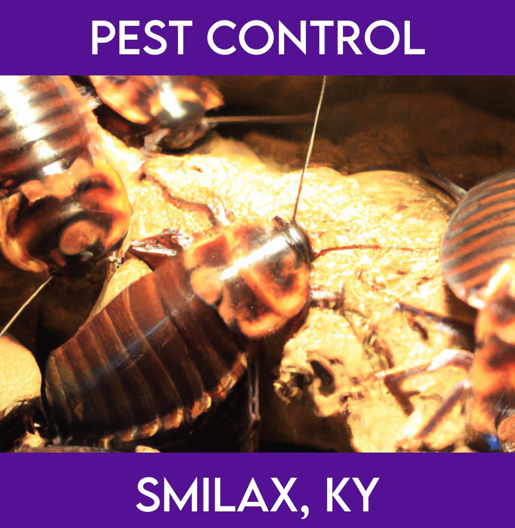 pest control in Smilax Kentucky